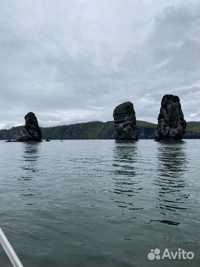 Морские прогулки на яхте, бухта русская