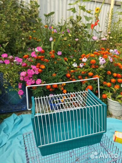 Клетка для грызунов +переноска