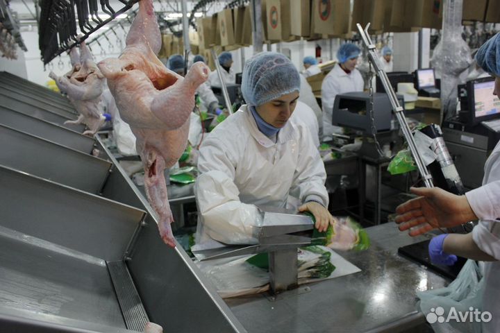 Упаковщик(цы) мяса птицы / вахта на птицефабрику