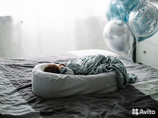 Кокон Little crown