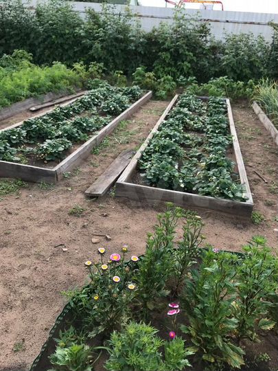 Дача 25 м² на участке 10 сот.