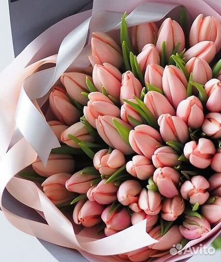 Тюльпаны премиум