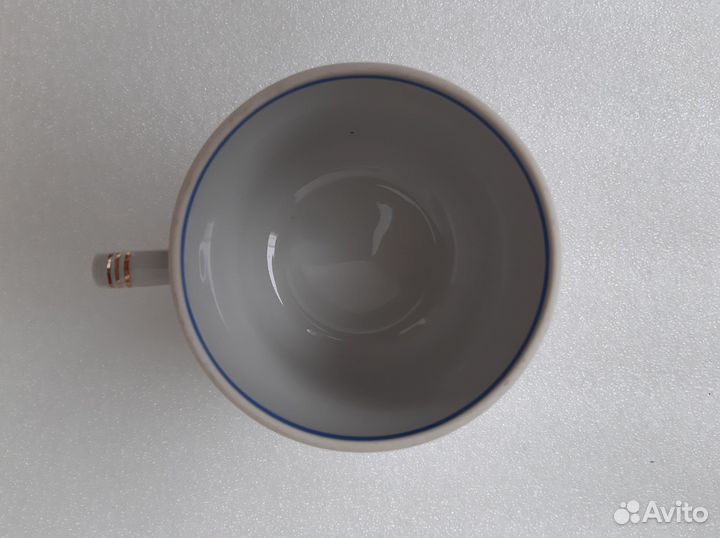 Вербилки чашка бокал Пингвин, Север Арктика, Антар