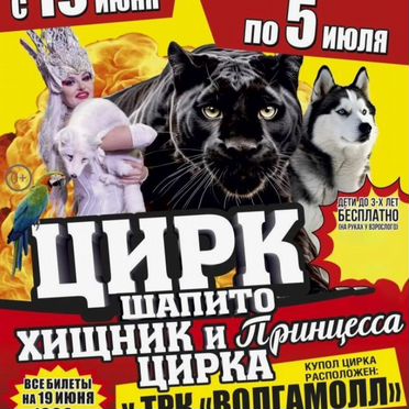 Билеты в цирк Волгоград