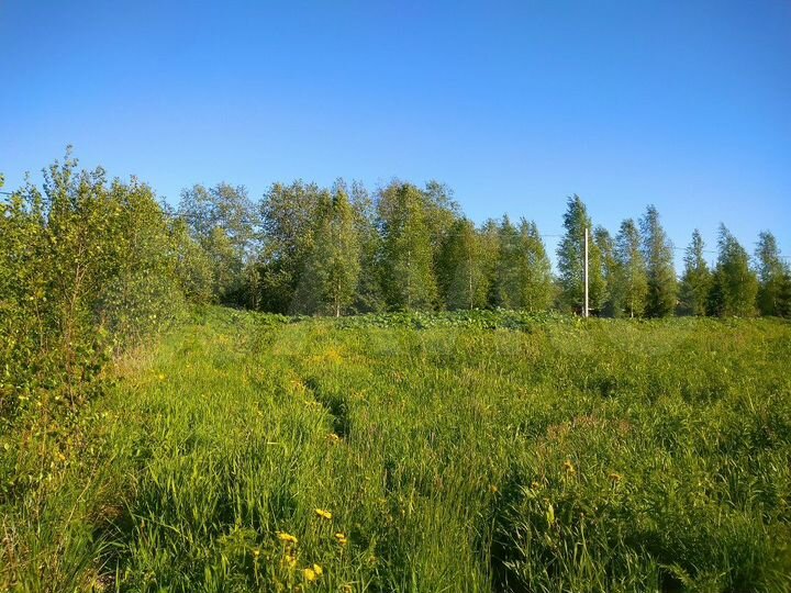 Участок 17,5 сот. (СНТ, ДНП)