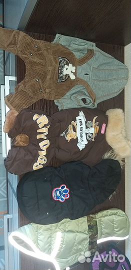 Одежда для собаки мелкой породы