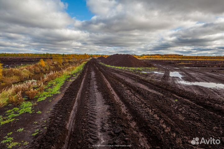 Торф с доставкой