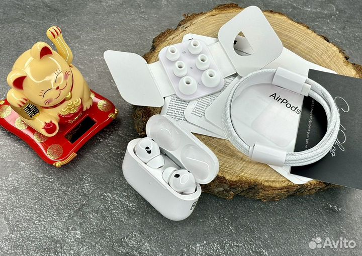 AirPods Pro 2 (type-c)