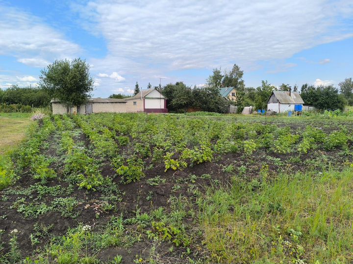 Дом 35 м² на участке 55,5 сот.