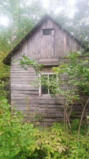 Участок 10 сот. (СНТ, ДНП)