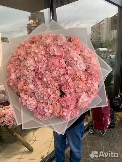 Букет из Голландских гортензий 35шт