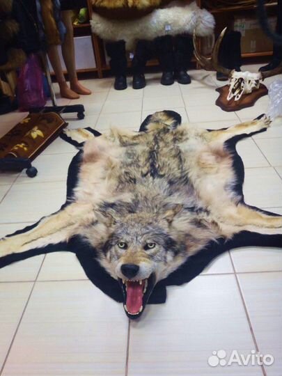 Ковер,бюст волка.Таксидермия