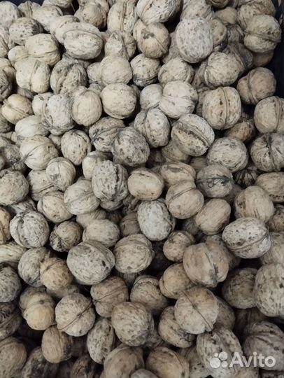 Грецкий орех