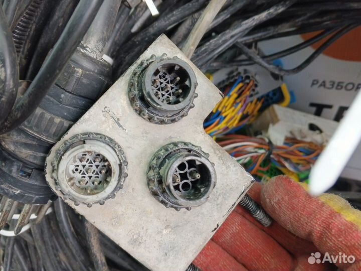 Проводка шасси Scania 5-series