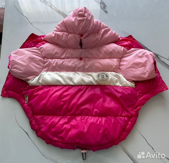 Одежда для собак