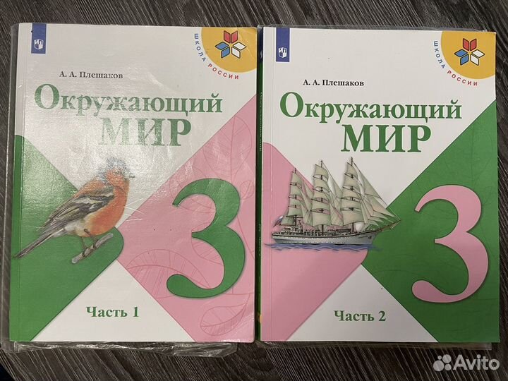Учебник окружающий мир 3 класс плешаков