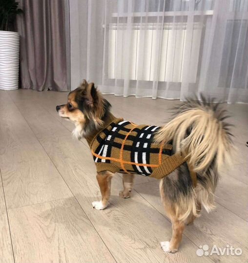 Продам свитер для собачки