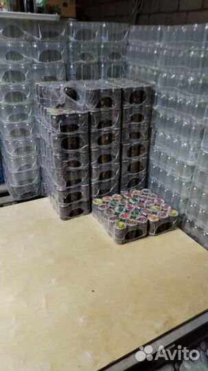 Опята маринованые