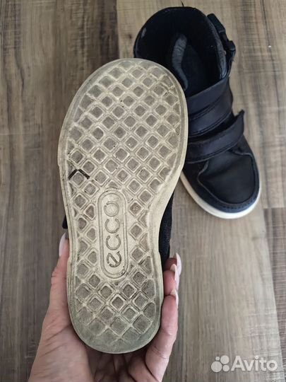 Ботинки еврозима ecco