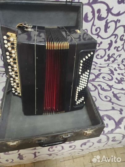 Баян тульский