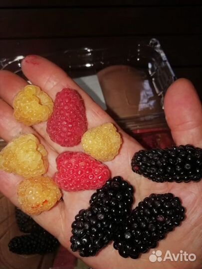 Плодовые деревья