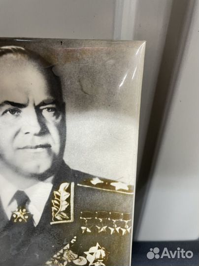 Портрет Жуков