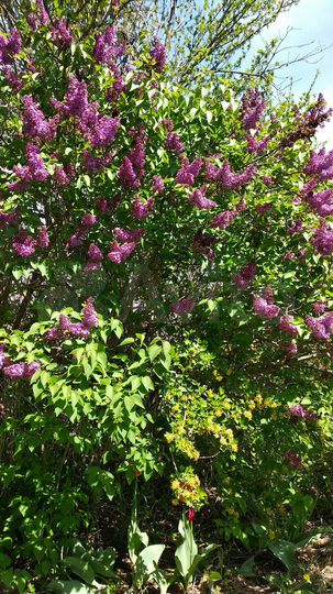 Дача 11 м² на участке 8,6 сот.