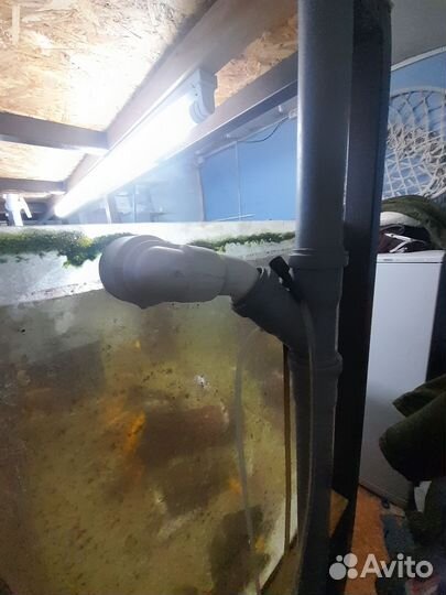 Стойка с аквариумами