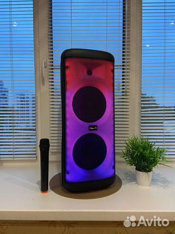 Портативная колонка Eltronic 20-55 500W (Новая)