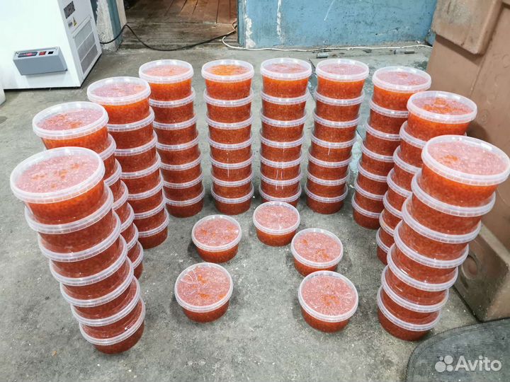 Обалденная, сухая и малосольная икра Кета Горбуша