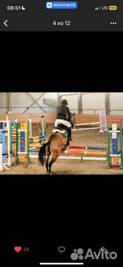 Вальтрап и бинты для верховой езды