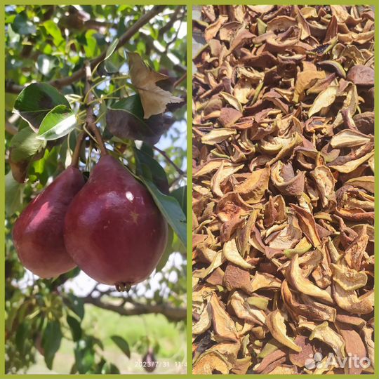 Сушеные яблоки,груши, абрикос