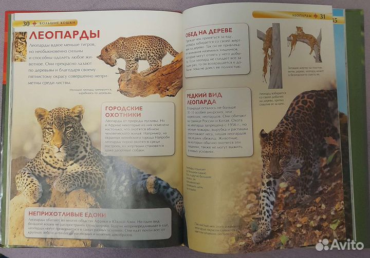 Детские энциклопедии