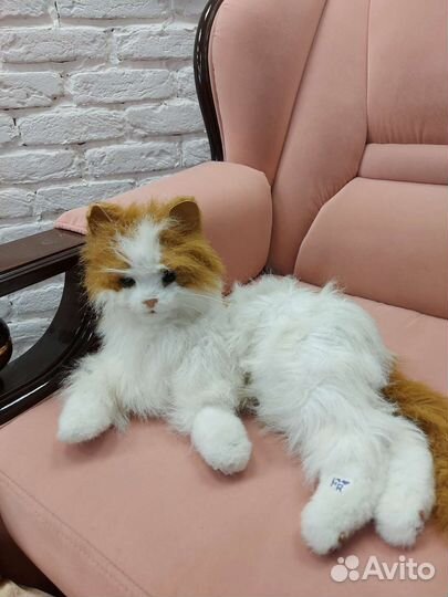 Декор подушки кошки интерактивные игрушки ферби