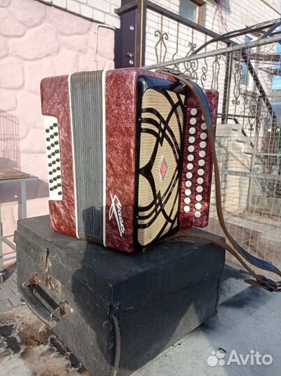 Гармонь чайка