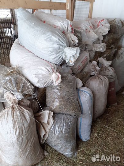 Навоз козий