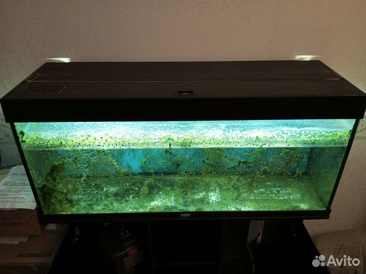 Аквариум juwel rio 240 литров