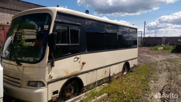 Городской автобус ПАЗ 3203, 2005