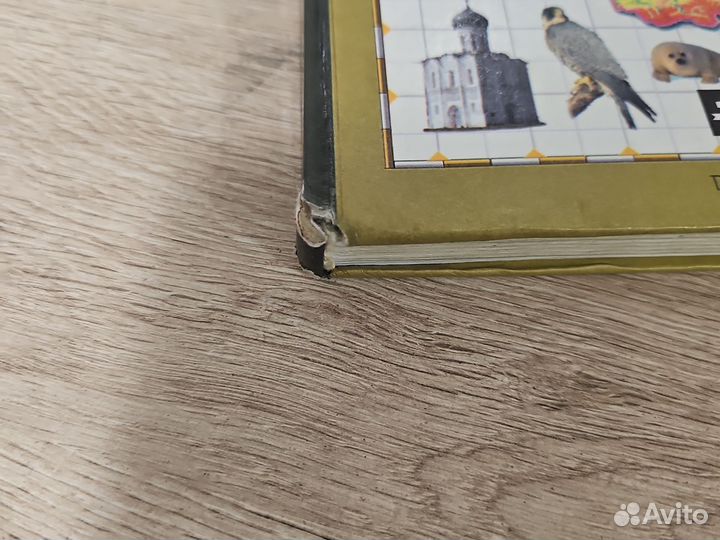 География 8 класс