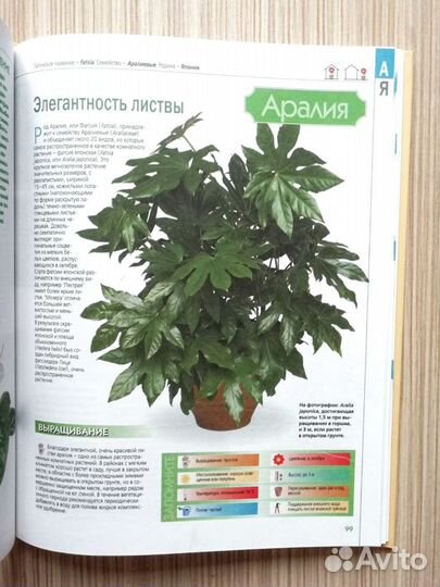 Энциклопедия Комнатные растения