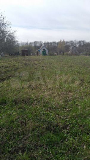 Участок 10 сот. (СНТ, ДНП)