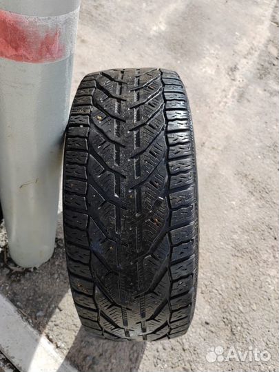 Tigar Winter 195/50 R15