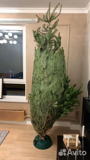 Подставка для живой елки