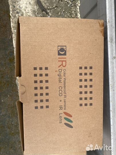 Мох настоящий