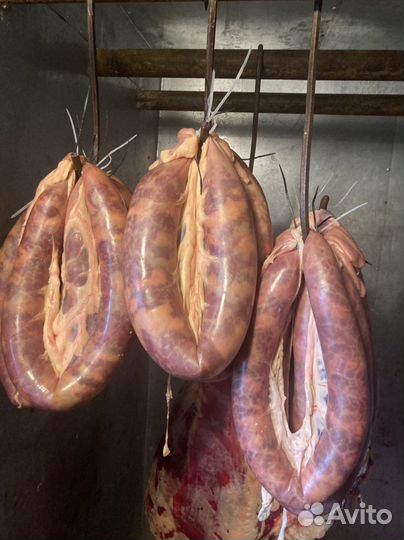 Мясо (конина, говядина). Конская колбаса