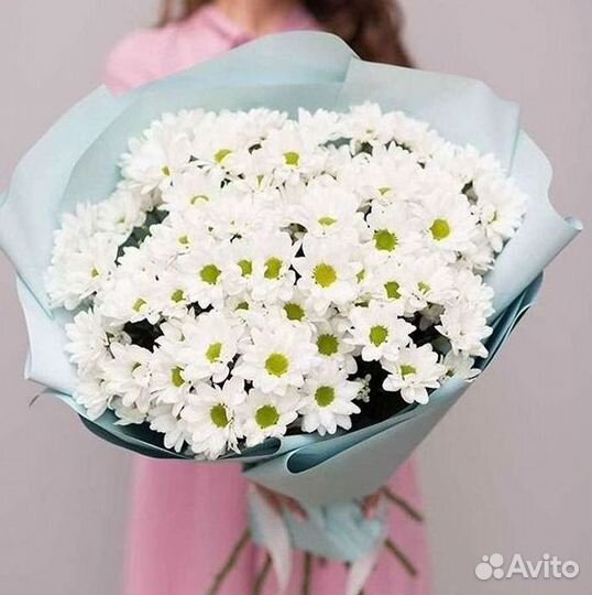 Хризантема Доставка цветов Букеты