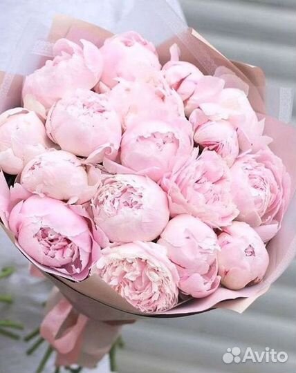 Пионы Букет пионов Доставка цветов