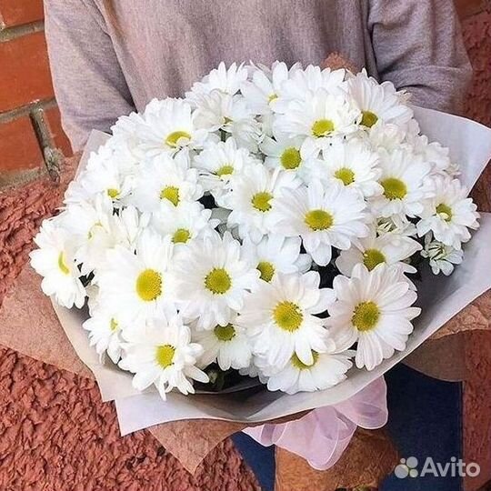 Хризантема Букеты с доставкой
