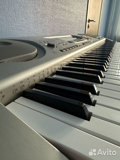Цифровое пианино (синтезатор) casio wk-3300