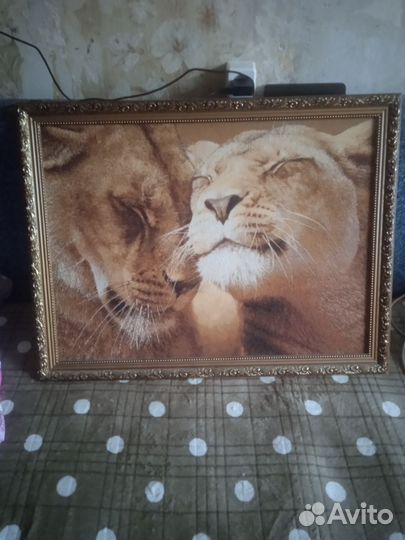 Картина львы